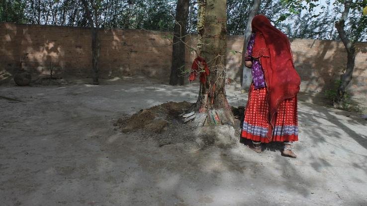 Kejri-Tree-Spritual-For-Vishnoi-Samaj