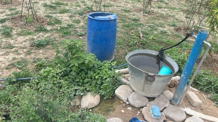 Indora: Drinking water being given to vegetables, people are craving
