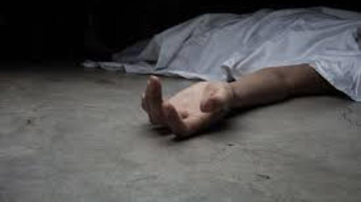 Woman who went to mow grass in Karsog fell from a cliff, died