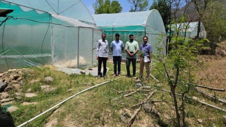 Dehra: Get 85 percent grant in Chief Minister's Nutan Polyhouse Scheme