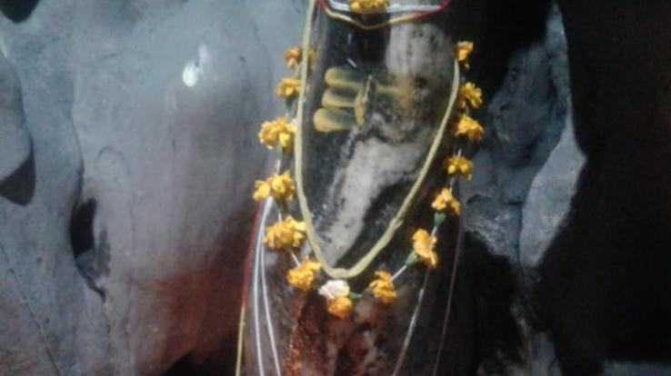 सोमवार 20 जनवरी को शिव गुफा में लगेगा विशाल भण्डारा