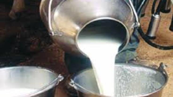 Him Ganga Yojana: 20 crore grant approved to the Milk Federation for the first phase