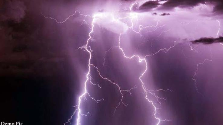 Kullu: 60 sheep and goats died due to lightning on Shunkchang top of Manikarna, sheep herder injured