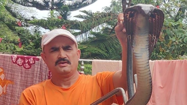 Jaisinghpur: Mathur Dhiman made the family fearless by rescuing a cobra