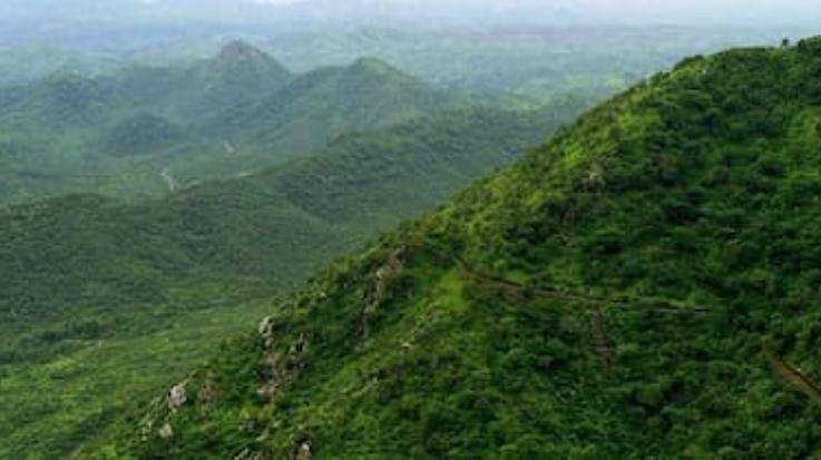 Green projects will get encouragement from Rajiv Gandhi Self Employment Scheme 111