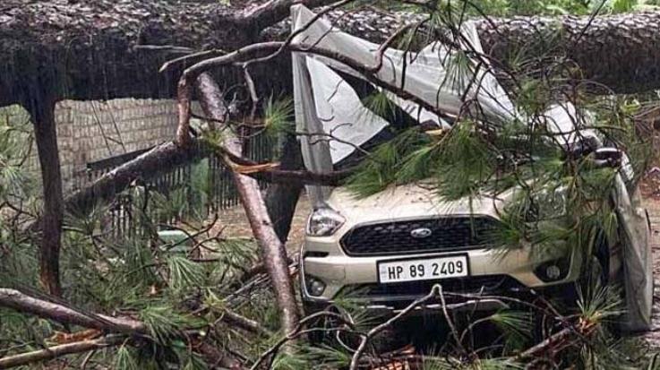 Car shattered by falling tree in Dharamshala's Chilgaadi