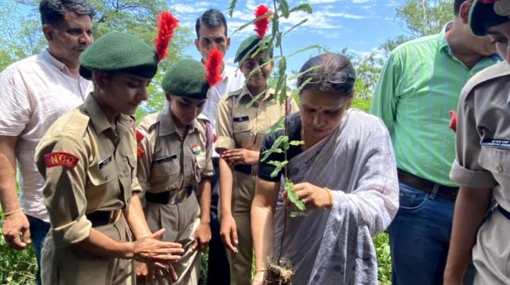 Dehra: Van Mahotsav started by planting saplings in Dhaliara College