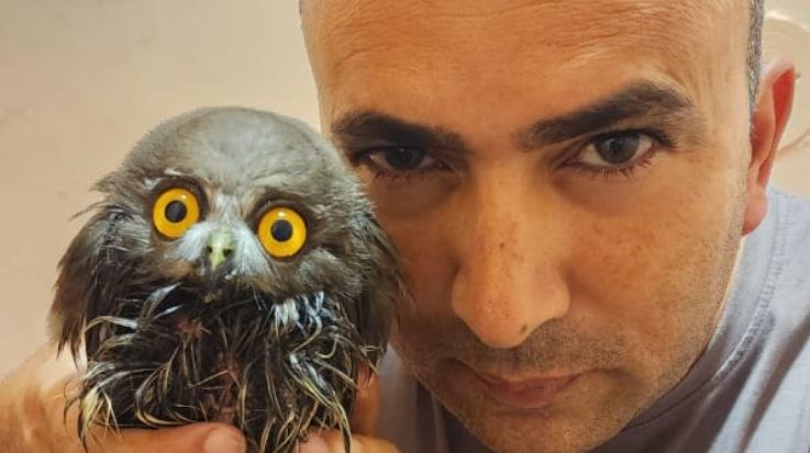 President of Dharamshala's Kranti Sanstha Dheeraj saved another wild bird