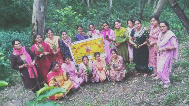  Members of Joginder Nagar Sanch planted saplings in Ladruhi