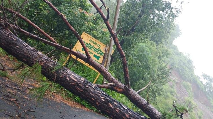  Tree fell on HTLT line on Kunihar-Kuftu-Shimla road, power supply and traffic disrupted