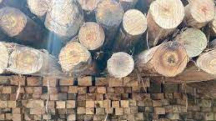Dehra: Sansarpur Terrace police caught a truck full of wood during the blockade