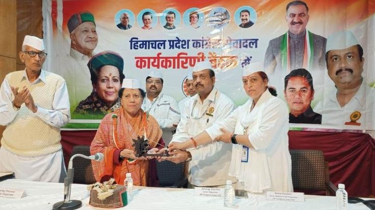 Shimla: I will request the CM to give respect to the leaders of the organization in the government: Pratibha