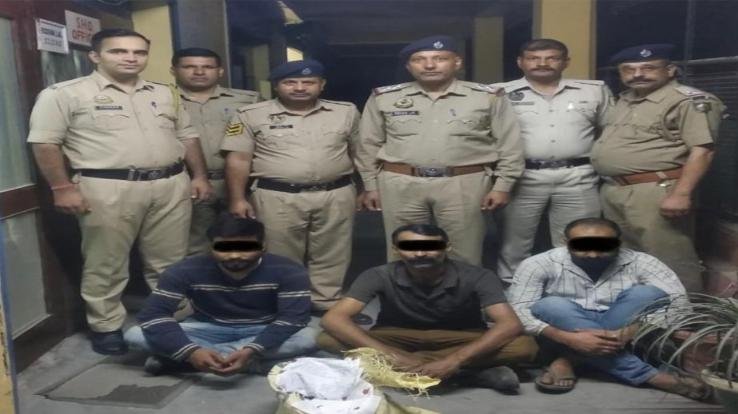 Solan: Three accused arrested for stealing electric wire from the company 123