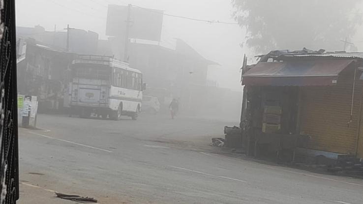 कुनिहार में कोहरे का कहर 