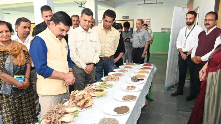 Appeal to farmers to cultivate spices and aromatic plants