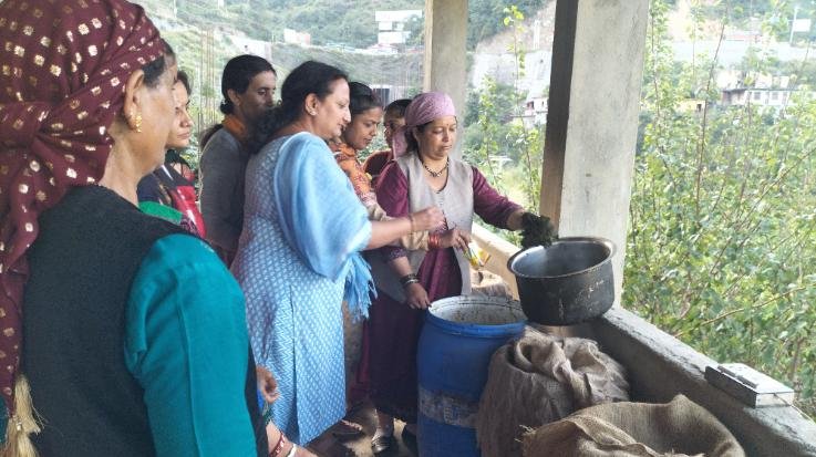 Solan: Farmers learned the tricks of natural farming