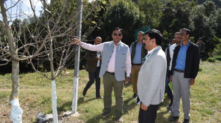 Will make Himachal the fruit state of the country: Jagat Singh Negi