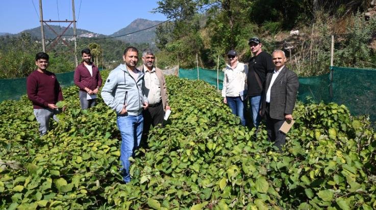  International experts visited Nauni and surrounding areas for cooperation in kiwi fruit production.
