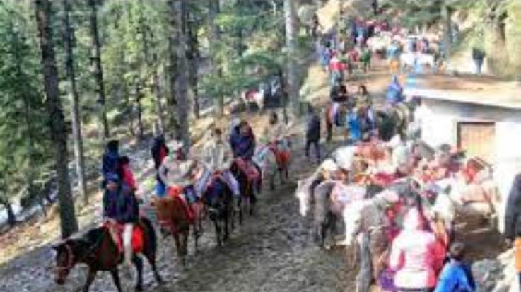 Shimla: NGT reins in the horses of Kufri