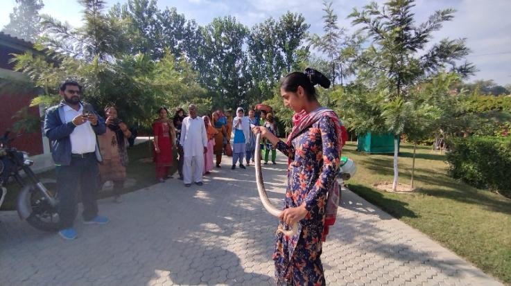 Una: Sangat was engaged in service in Radha Soami Satsang Bhawan, snake came out