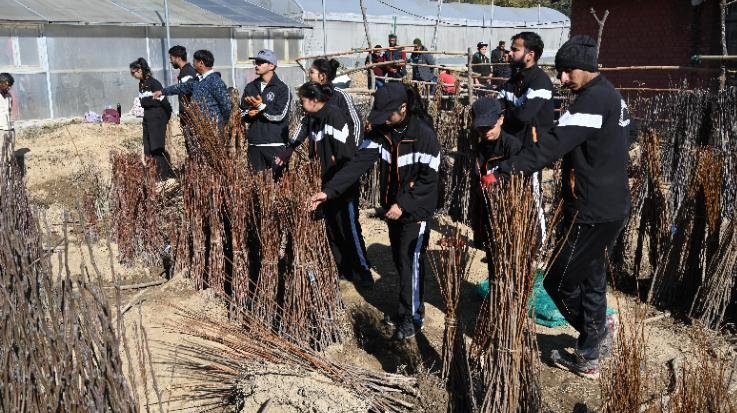 Solan: Nauni University will hold annual sale of plants from December 11.122