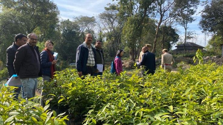 Shimla/Jogindernagar: Organic products will be available in Jogindernagar outlet of JICA.