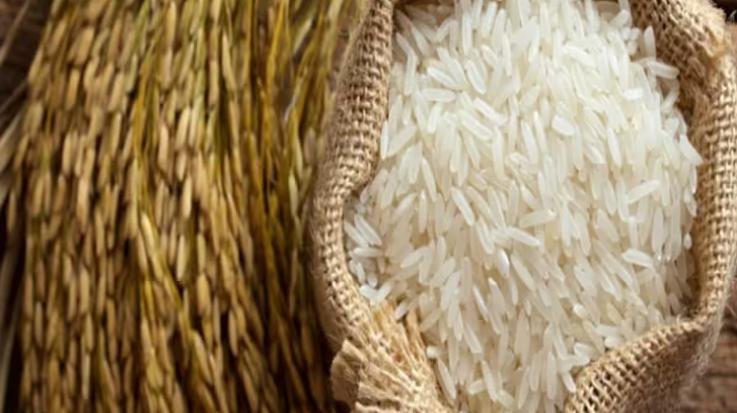 Dharamshala: Ration card holders will eat desi rice in the new year