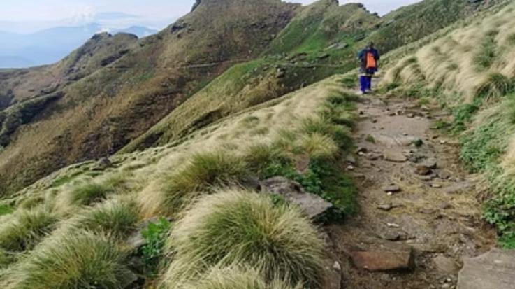 50 percent discount in trekking and tenting entry fees in Dharamshala Forest Circle