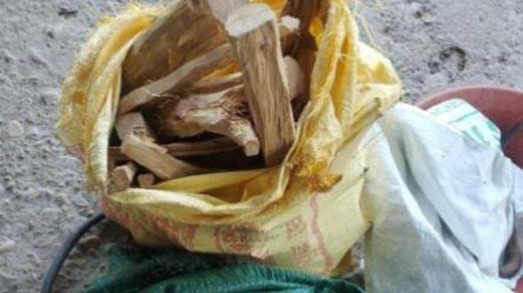  Jaswan-Paragpur: Police and forest department caught 29 kg sandalwood in Rakkar