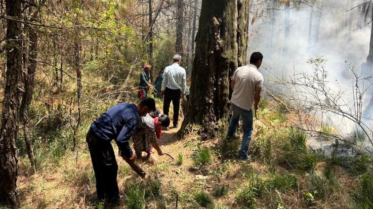 Mandi: Fire broke out in Baldwara forest, extinguished by JICA and forest department team.