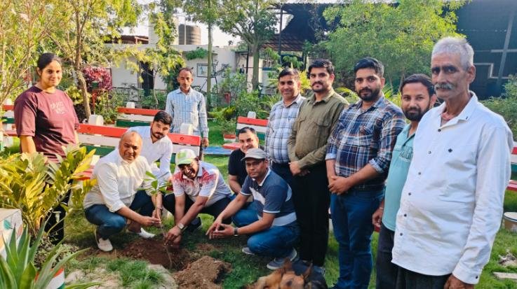 Tree plantation campaign started from Curetech campus to protect the environment