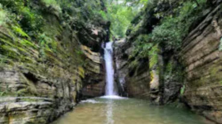 Solan: A stone fell on a young man in Rewa water fall of Ashwani Khad, he died.