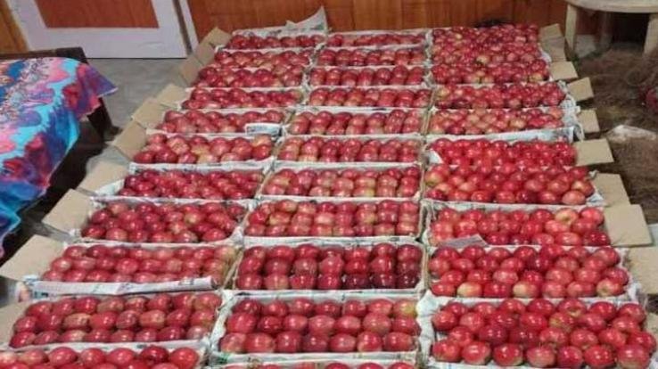 Recommendation to increase GST to 12 percent on apple carton boxes