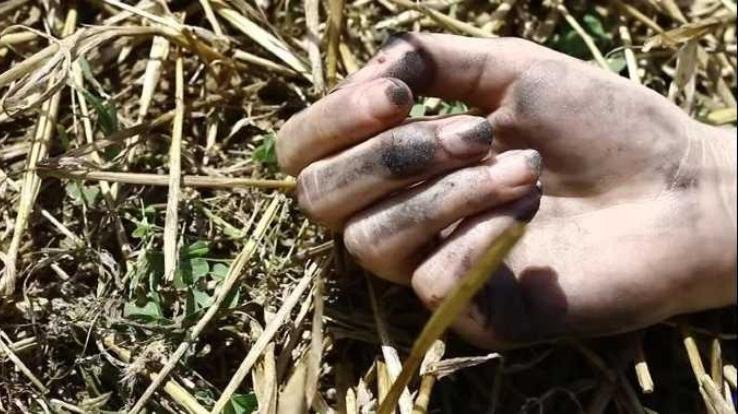 Kullu: There is joy in the house at night due to daughter's birthday and in the morning there is mourning due to death of husband and wife.