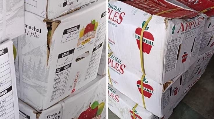 Question on quality of universal carton, cardboard fragile