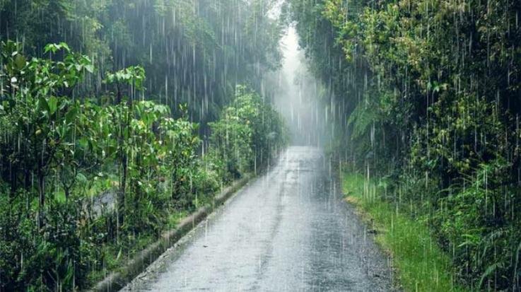 Monsoon will pick up pace again in the state after July 10