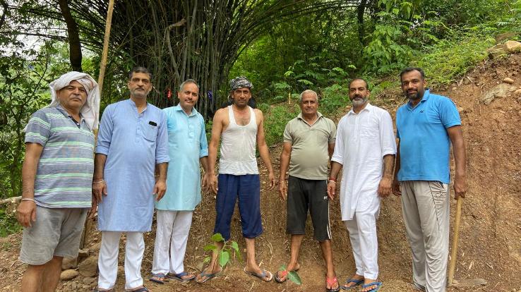 Local people collectively planted Peepal and Banyan trees in Dehra.