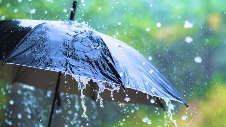 People yearn for rains, Meteorological Department issues heavy rain alert on 22 and 23 July