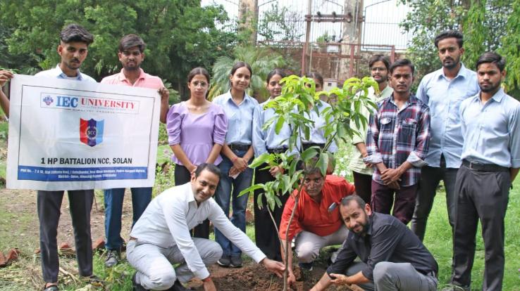 Baddi: Kargil Vijay Diwas celebrated with enthusiasm in IEC University