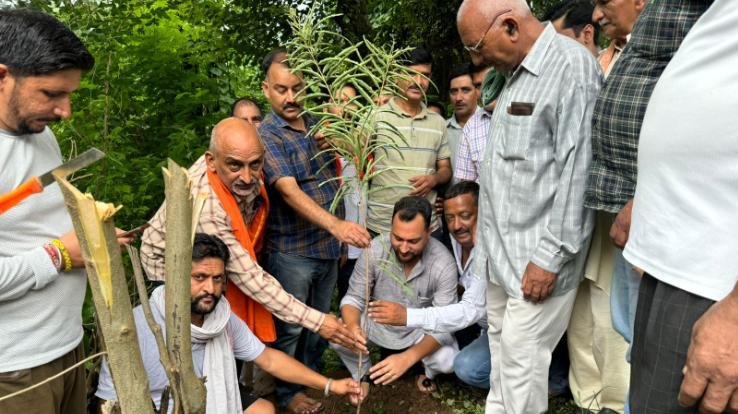 Hamirpur: Ashish Sharma planted a tree under the campaign in the name of mother.
