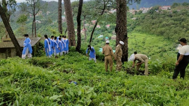 Dharampur: Plantation of trees done by Sant Nirankari Mission