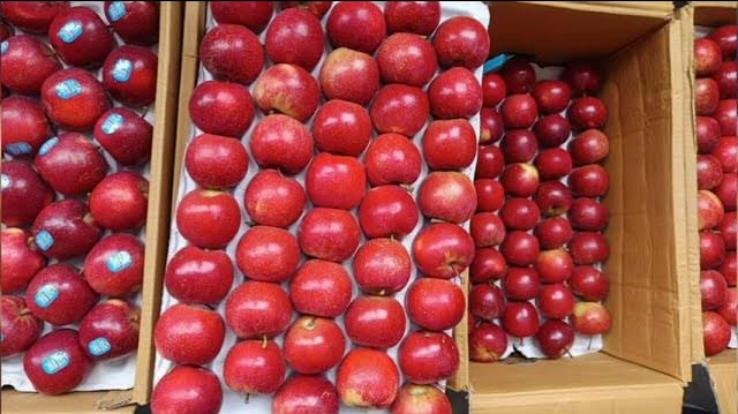 Shimla: Apple prices fell by Rs 500 to Rs 600 per box, gardeners disappointed.