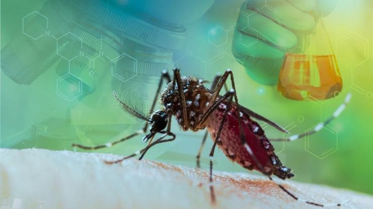 Dengue gives sleepless nights to doctors in Himachal's Sirmaur, figure crosses 1300