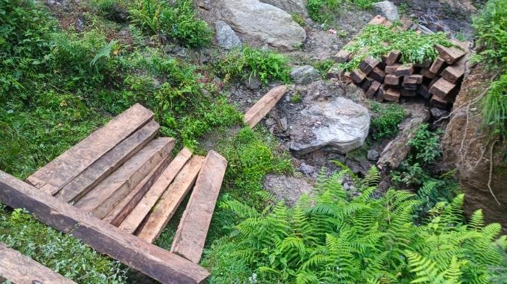 Kullu: Illegal felling is not stopping in Banjar, 54 illegal sleepers of cedar recovered from Sojha Beat.