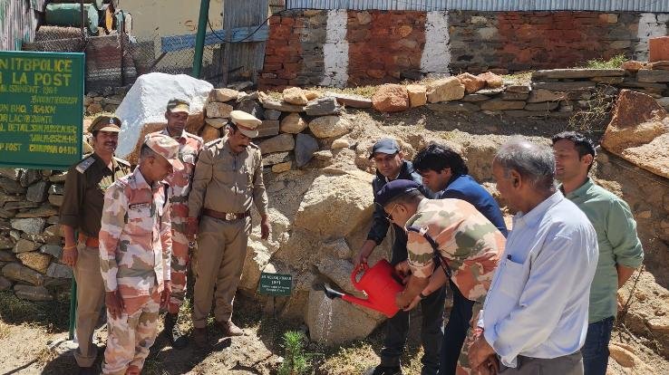 Reckong Peo: Saplings of pine nuts planted in ITBP post Shipki La.