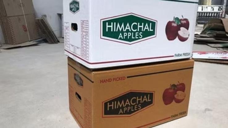 Himachal Government: Important initiative for Universal Carton Apple Horticulture