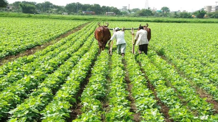 Mandi: Agricultural incentive schemes end pension tension