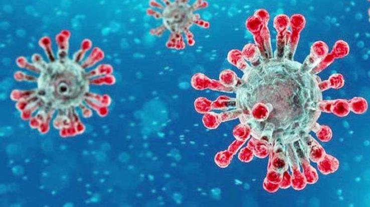 कोरोना वायरस के दृष्टिगत निर्देश जारी, सभी नागरिक सेवा केन्द्रों व सुगम केन्द्र आगामी आदेशों तक बंद