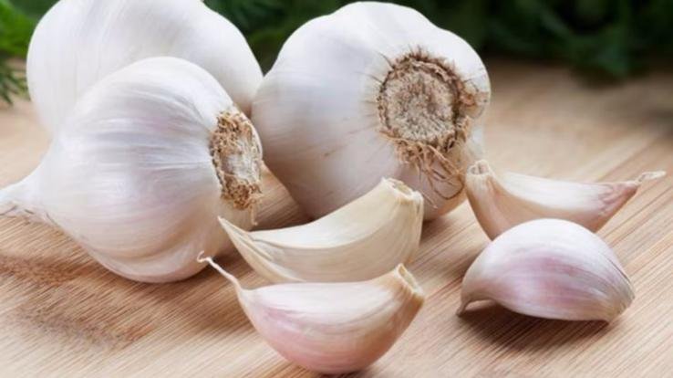 Inflation hit: Garlic seed prices doubled since last year