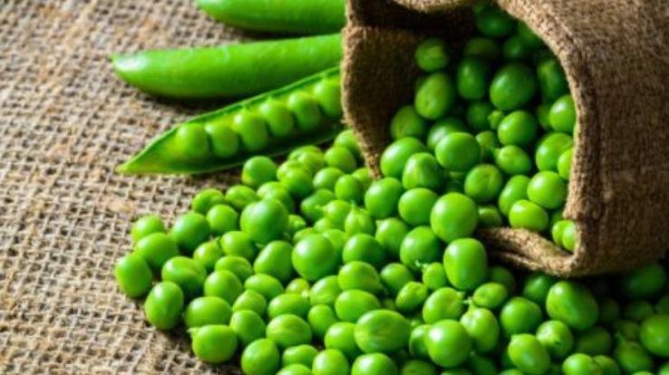 Now green pea sample failed in Solan, quantity of lead found